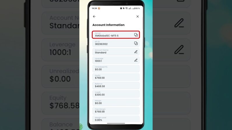 How to Connect XM to MetaTrader 5